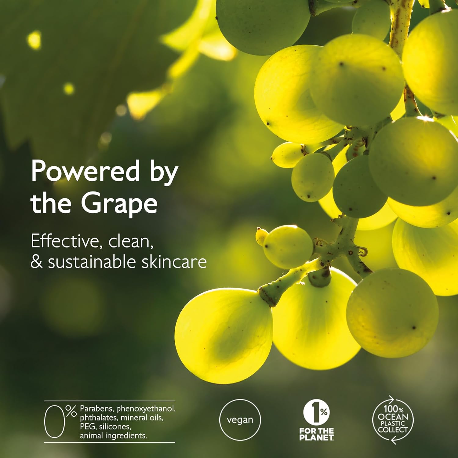 Caudalie Vinopure Oil-Control Moisturizer - 60 mL
